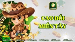 Cao bồi miền tây