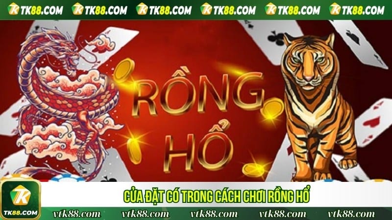 Cửa đặt có trong cách chơi rồng hổ