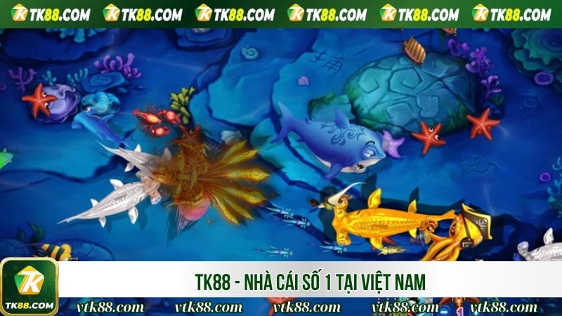 TK88 - Nhà cái số 1 tại Việt Nam